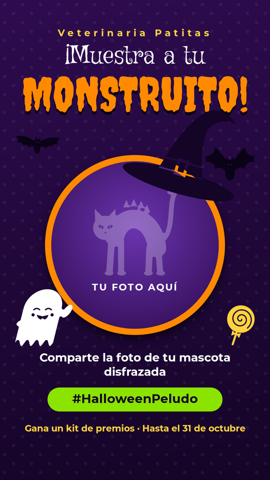Disfraces para Mascotas